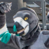 Theta - Raptor
