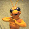Annie - ant