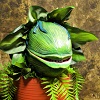 Audrey II - Little Shop of Horrors